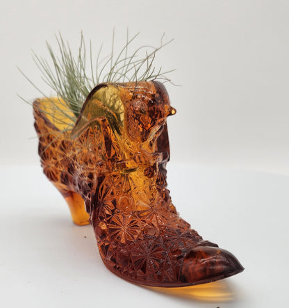 Art Glass Amber Shoe Slipper Air Plants - Starlight Nursery 