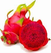 Red Dragon Fruit Plant Red Flesh Small - Starlight Nursery 