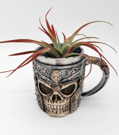 Skull Knight Beer Mug Air Plant - Starlight Nursery 