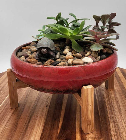 Succulent Plants Red Planter - Starlight Nursery 