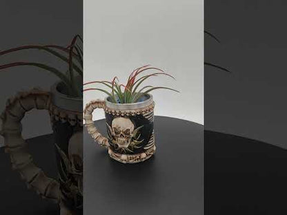 Skull Mug Air Plant